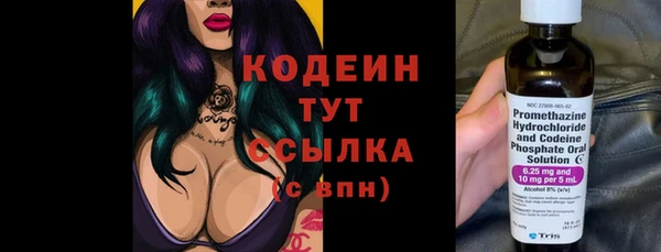 прущая мука Вяземский