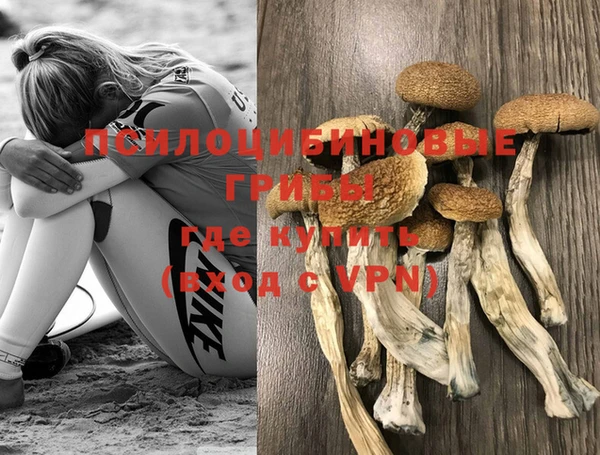 мяу мяу мука Волоколамск